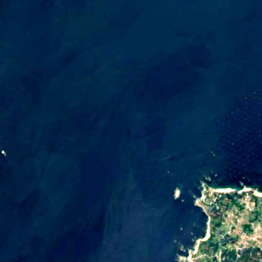Complexe intermareal Umia-O Grove vu d'en haut (Sentinel-2)