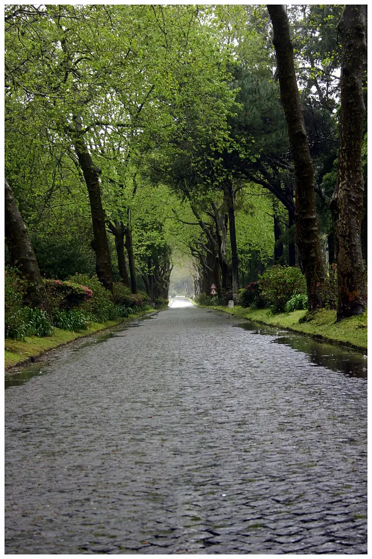 Furnas - panoramio (52)