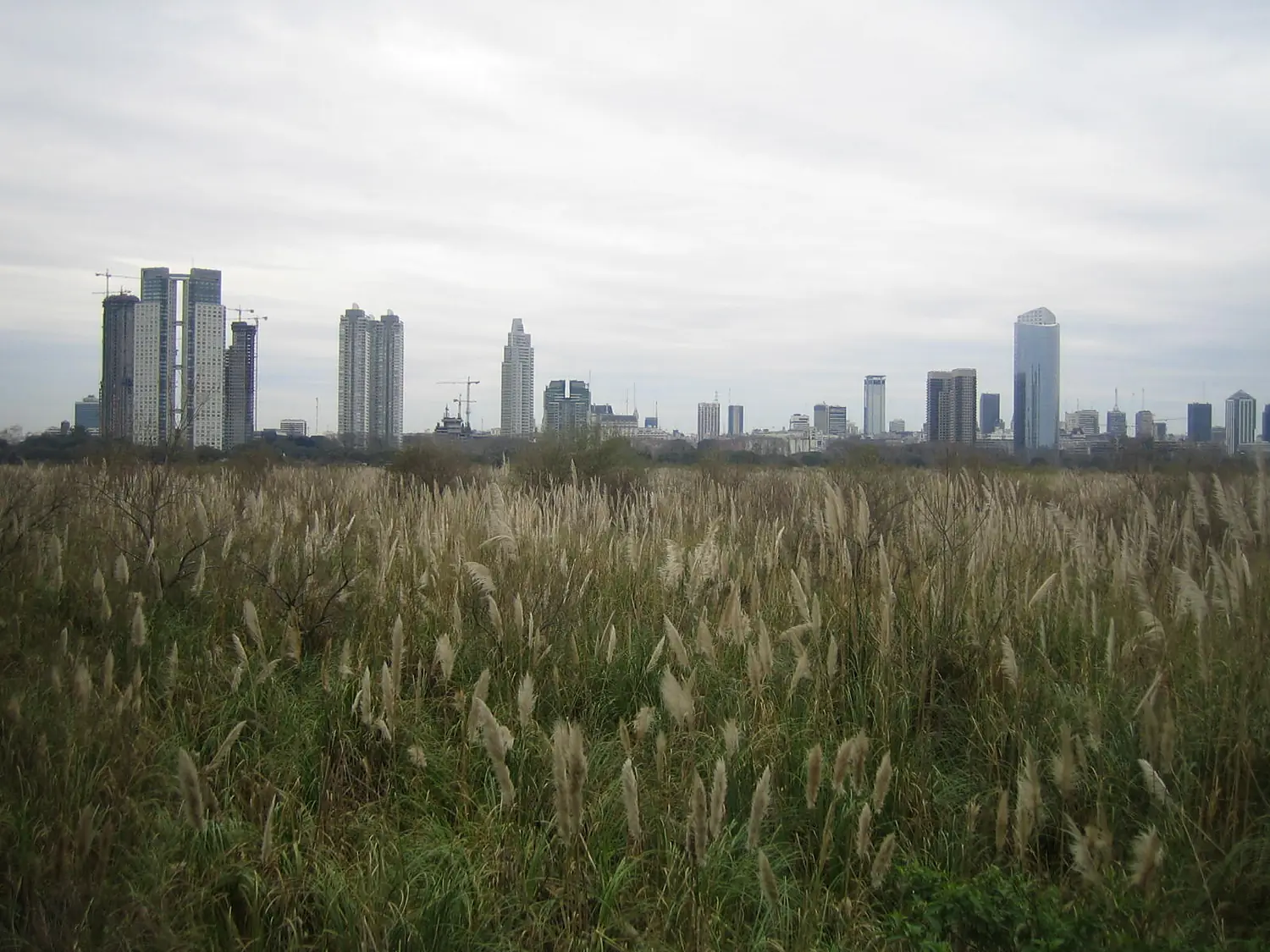 Reserva ecológica de Buenos Aires