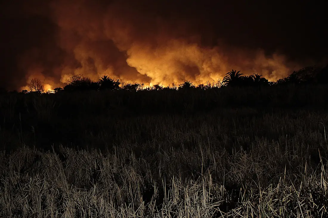 Incendio de la Reserva Ecológica