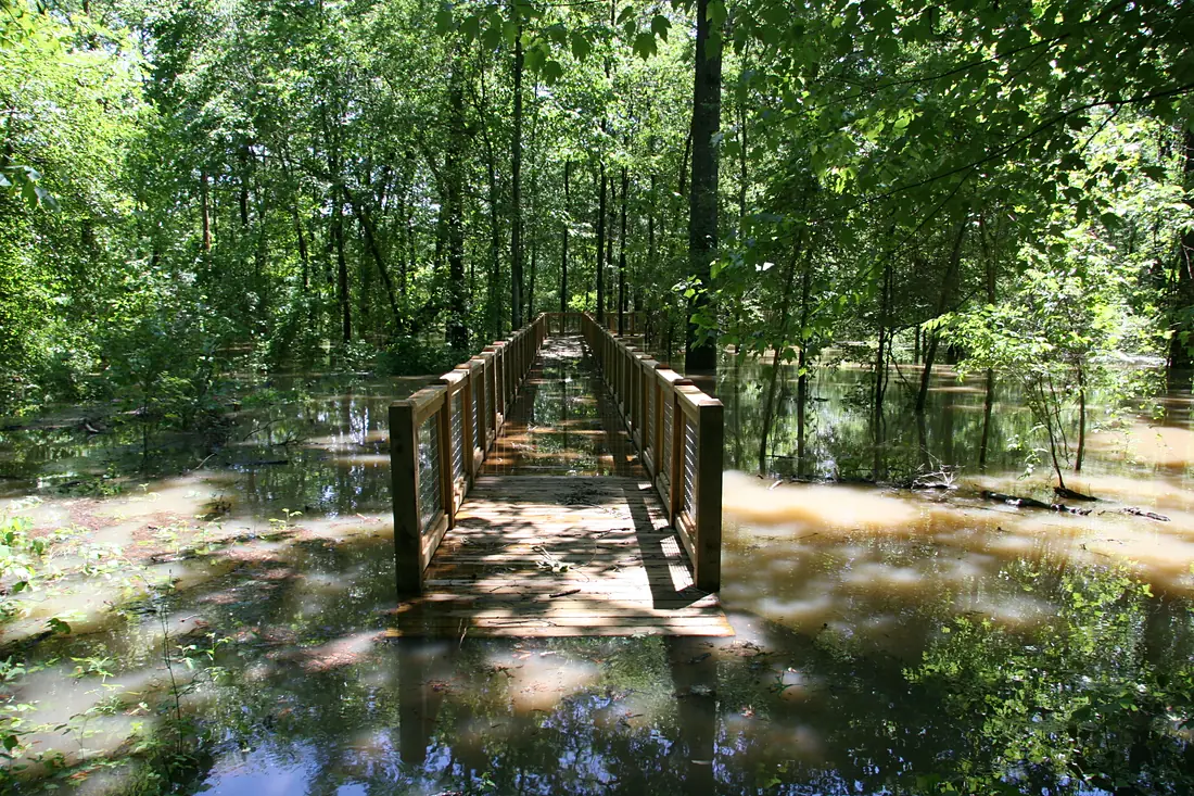 White River Boardwalk Trail (5781633755)