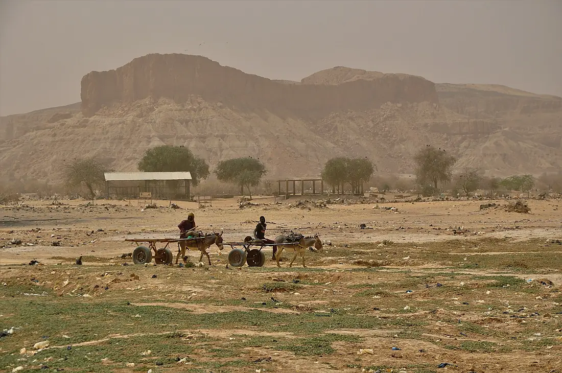 Niger, Filingué (5)