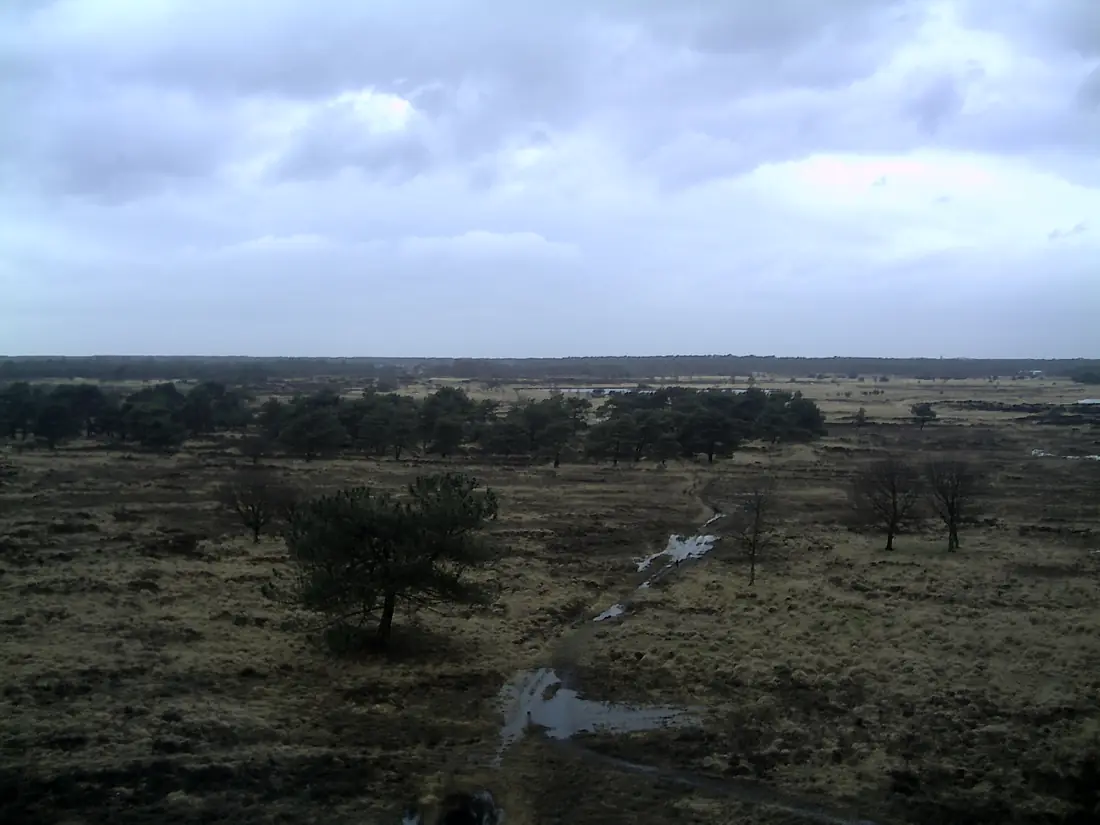 Kalmthoutse Heide vanuit brandtoren 1 11feb2007