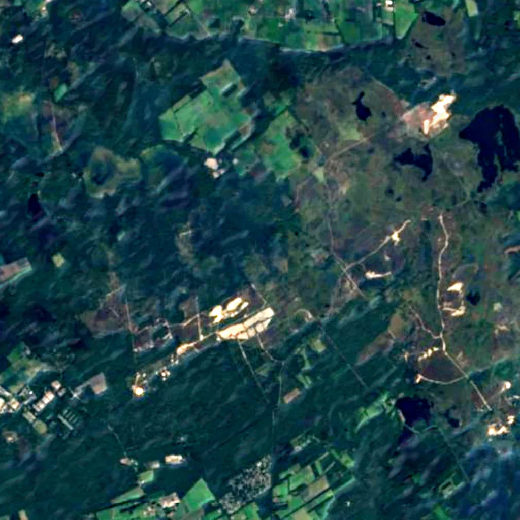 De Zoom - Kalmthoutse Heide seen from above (Sentinel-2)