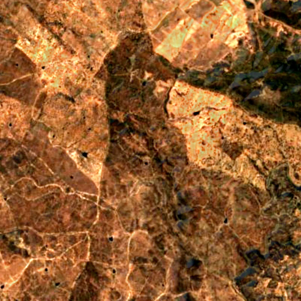 Dehesas de Jerez seen from above (Sentinel-2)