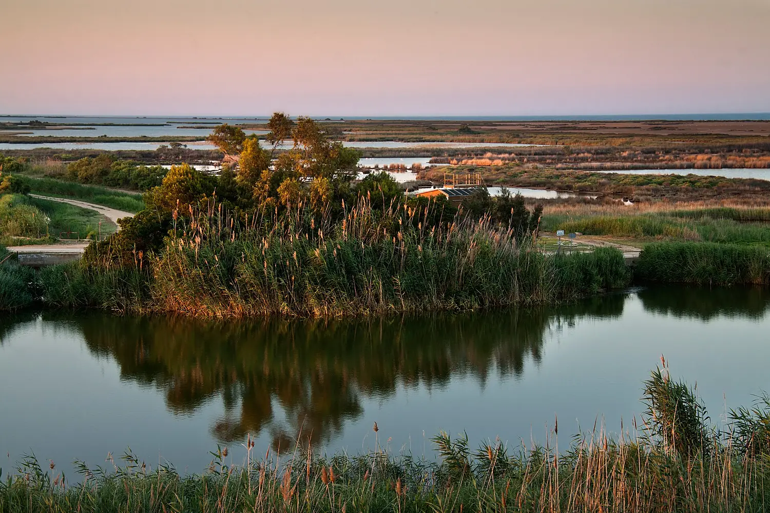 Delta Ebre5