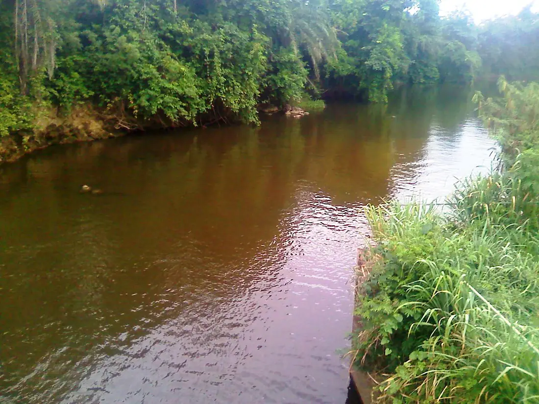 Densu River 5