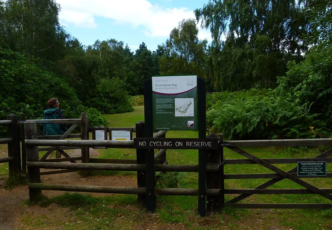 Dersingham bog