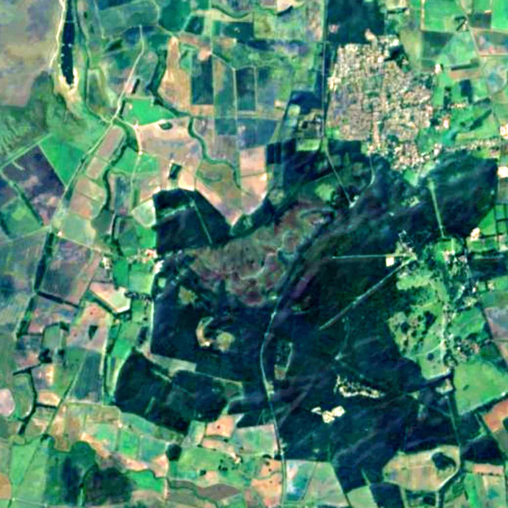 Dersingham Bog seen from above (Sentinel-2)