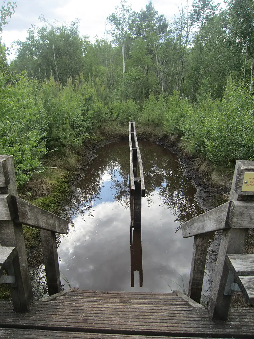 Ströhen Moormatschbecken