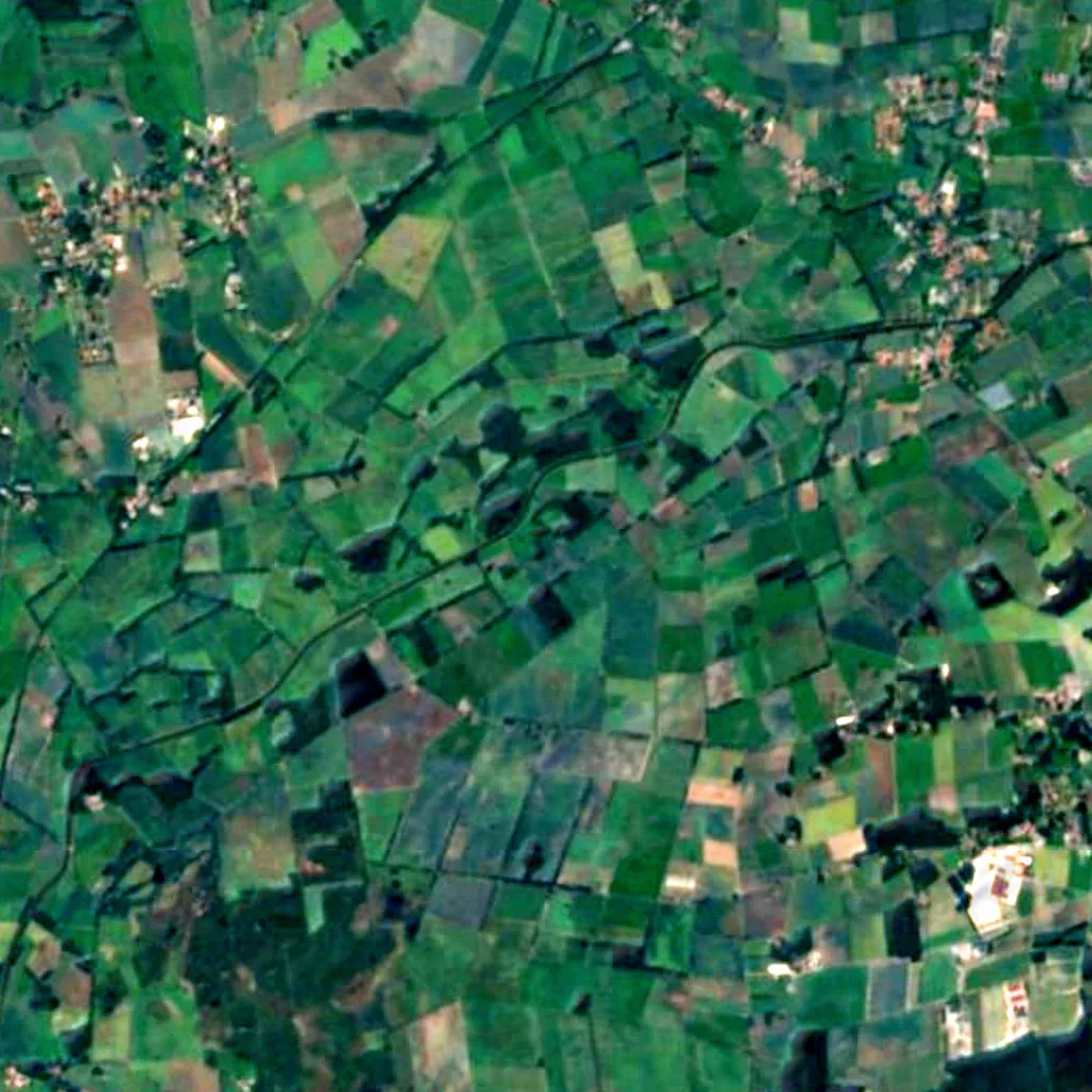 Diepholzer Moorniederung visto dall'alto (Sentinel-2)