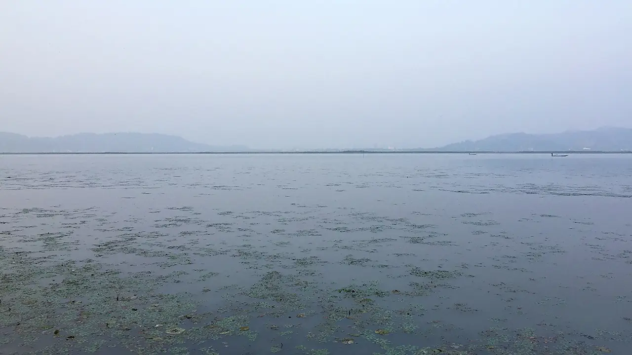 Deepor beel