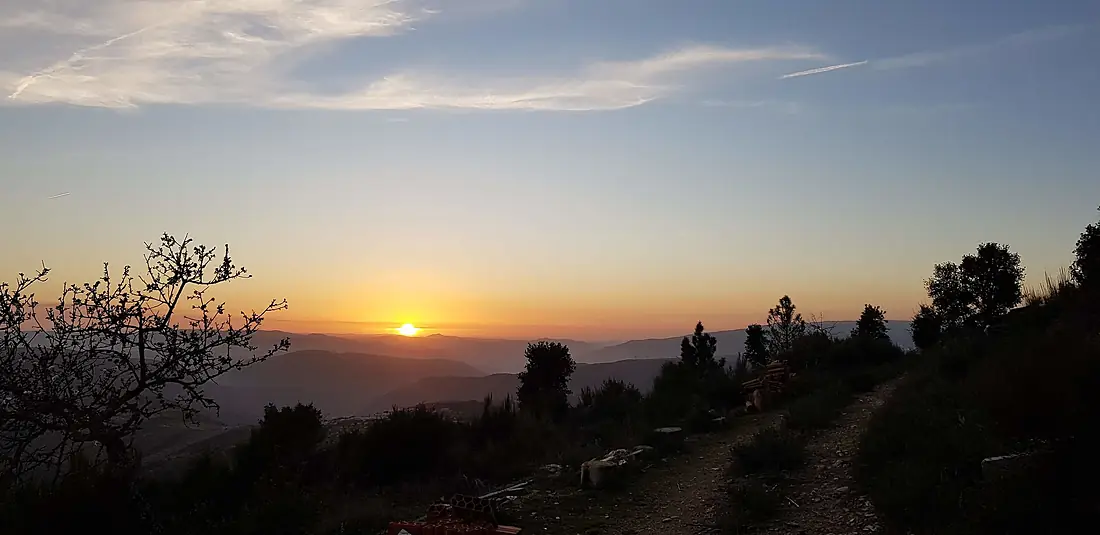 Paisagem Amêndoa em Flor "Feita Pelo Homem"