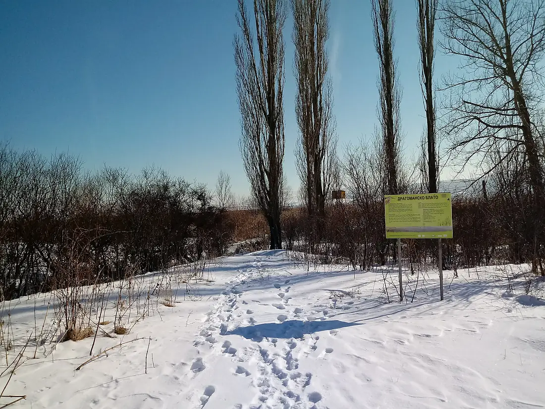 Dragoman marsh in winter 2