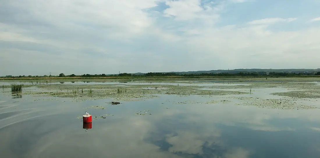 Jezero Drużno, bóje