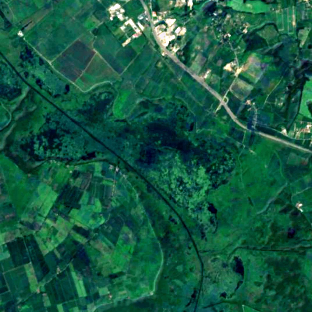 Drużno seen from above (Sentinel-2)