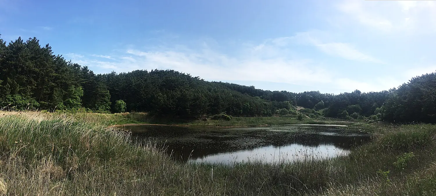 Duwung wetland image 1