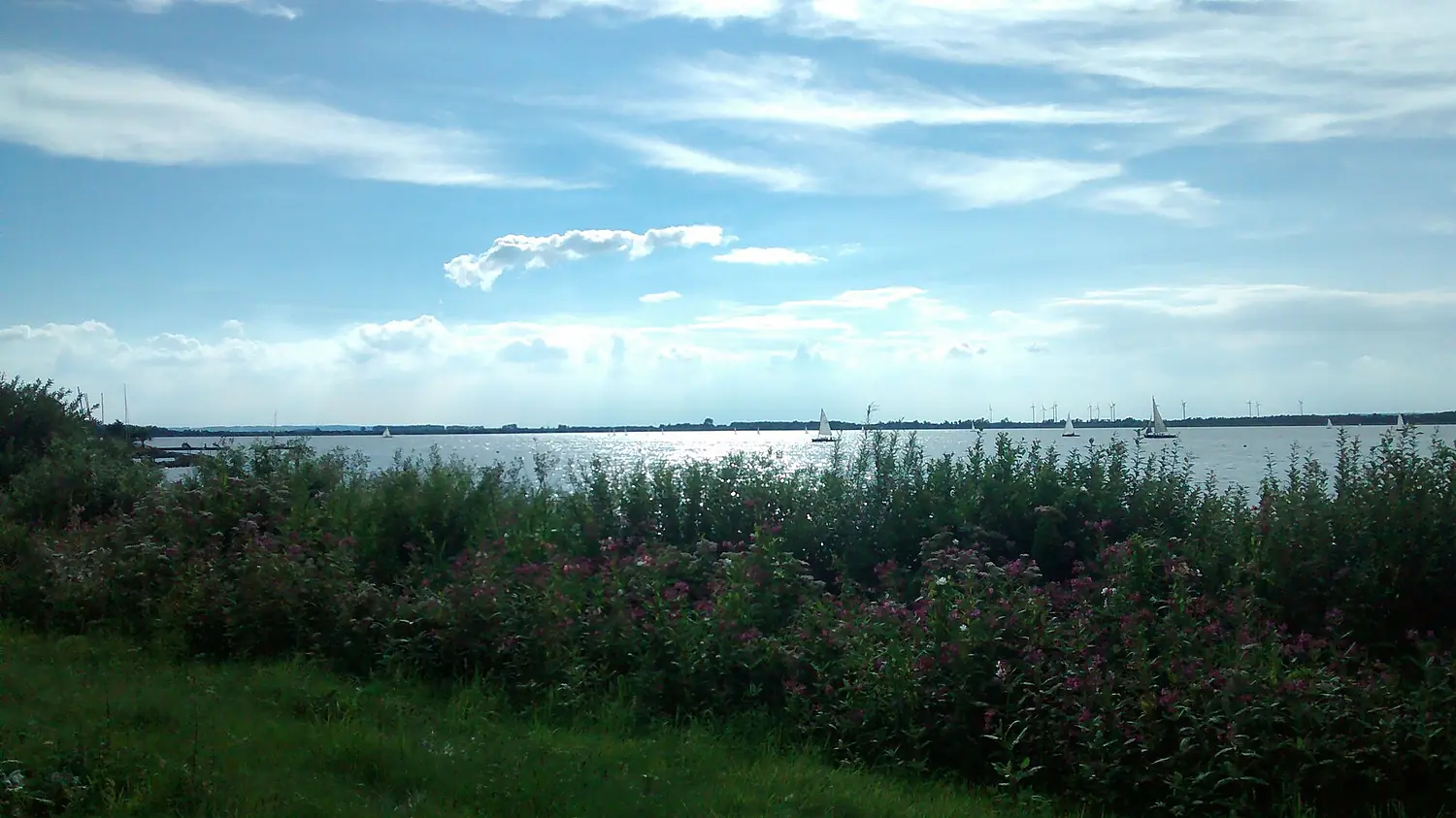 Dümmer Lake
