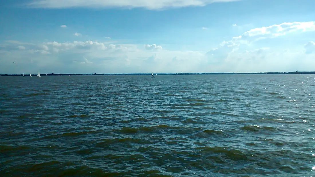 Dümmer Lakewater