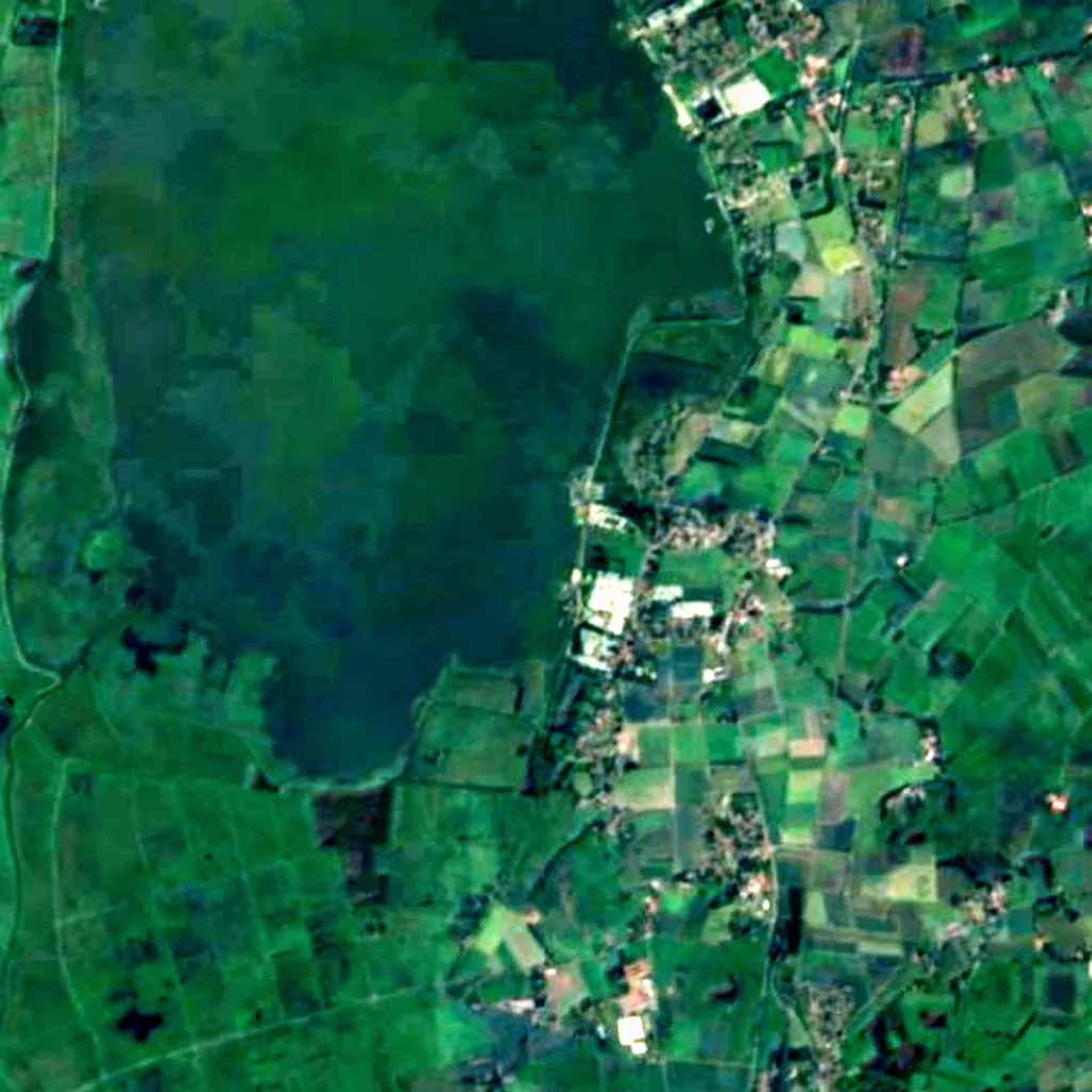 Dümmer seen from above (Sentinel-2)