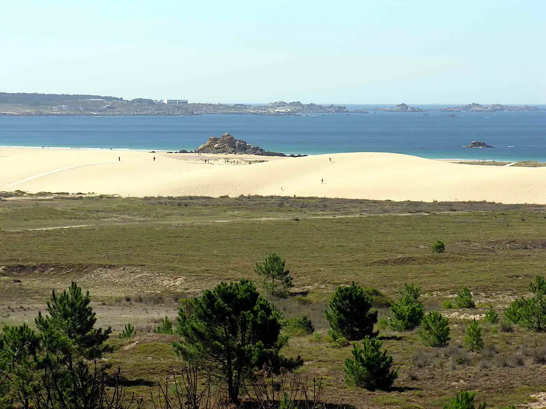 Corrubedo Dunas GDFL 050821 112