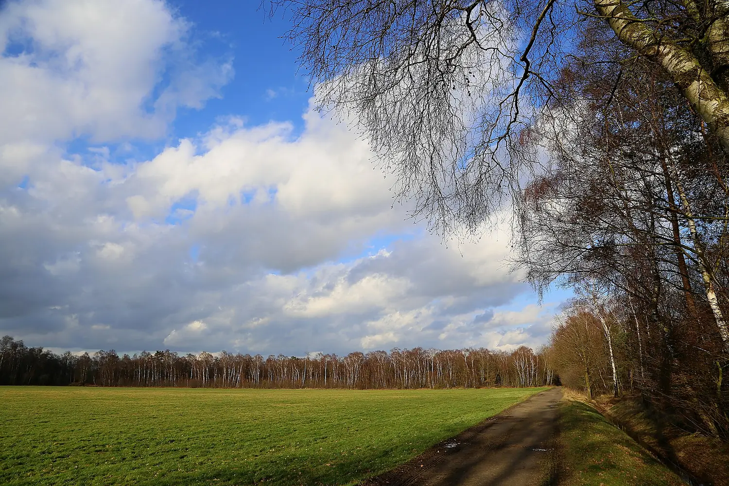 NSG Mettinger Moor 16