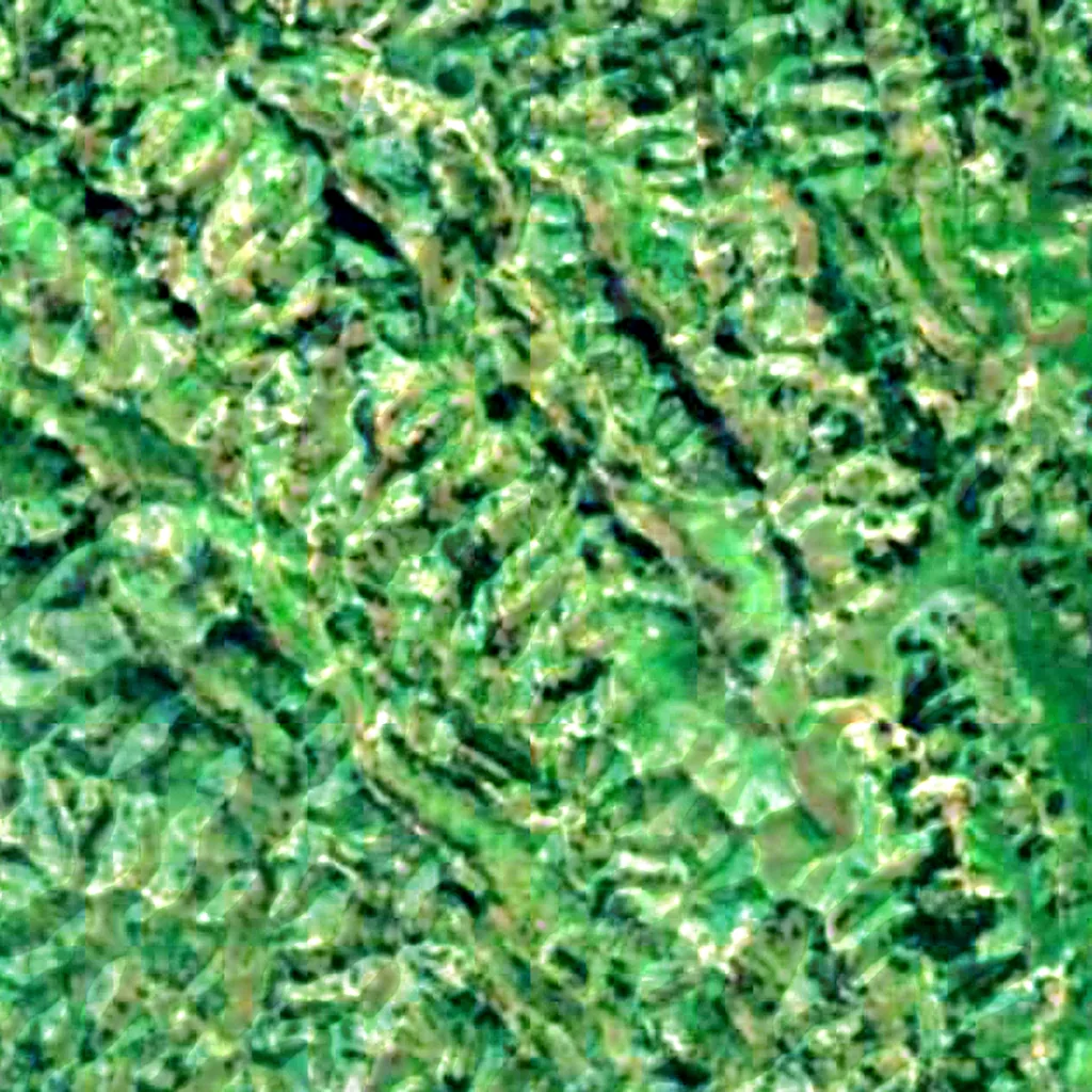 Echuya Forest reserve seen from above (Sentinel-2)