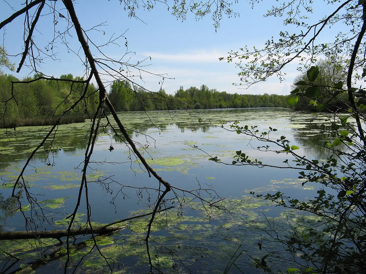 2015-04-23-141756-Ecopole