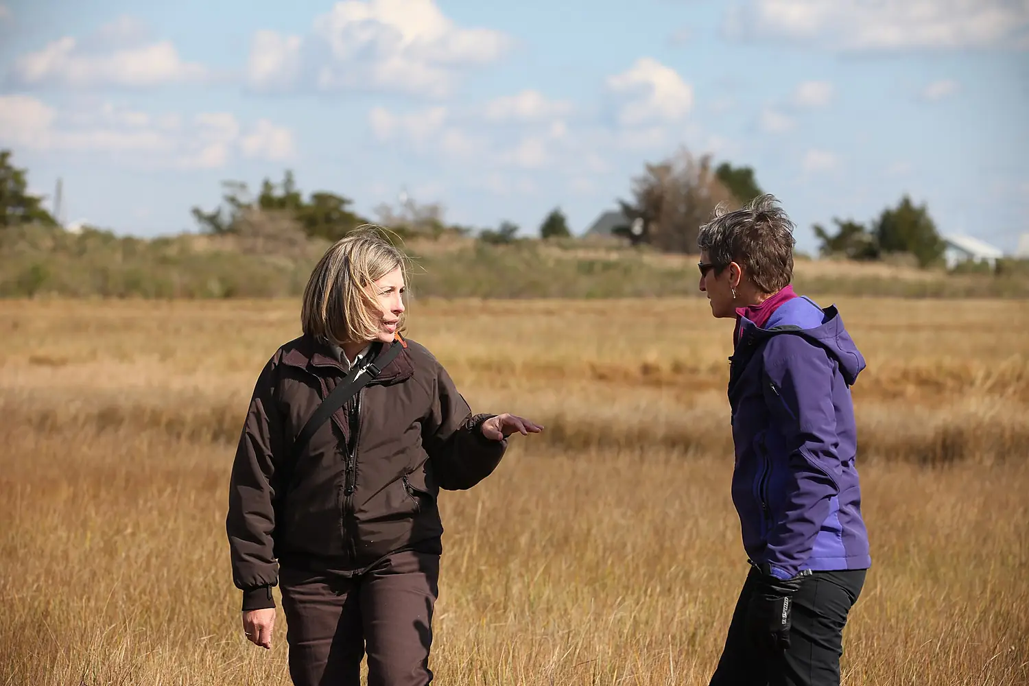 Edwin B. Forsythe Refuge Manager Virginia Rettig and other refuge staff showed Secretary Sally Jewell and others some of the monitoring taking place in one of the marshes on the refuge. (10476762883)