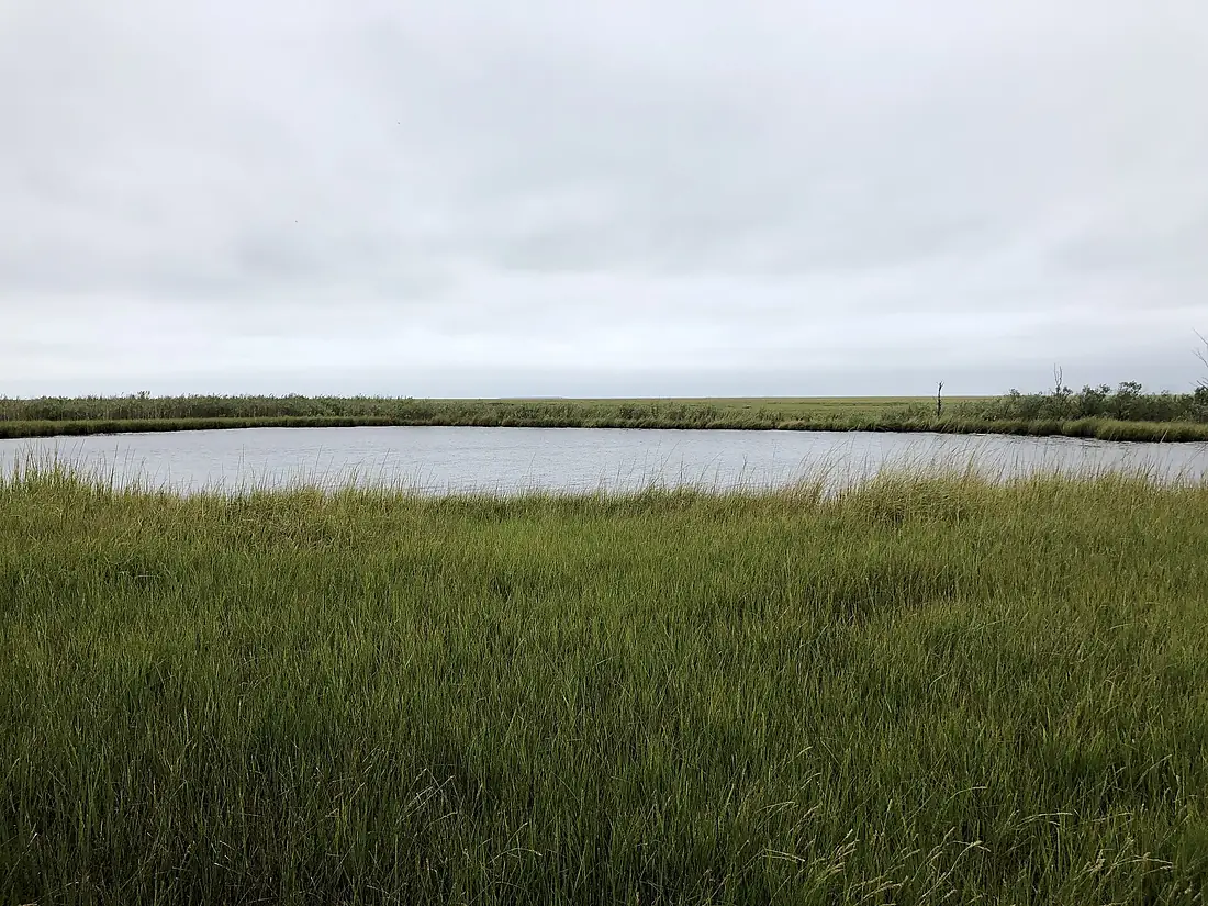 2018-09-14 15 52 28 View south-southeast across salt marshes within the Edwin B. Forsythe National Wildlife Refuge from Atlantic County Route 561 Alternate (Oyster Creek Road-Moss Mill Road) in Galloway Township, Atlantic County, New Jersey