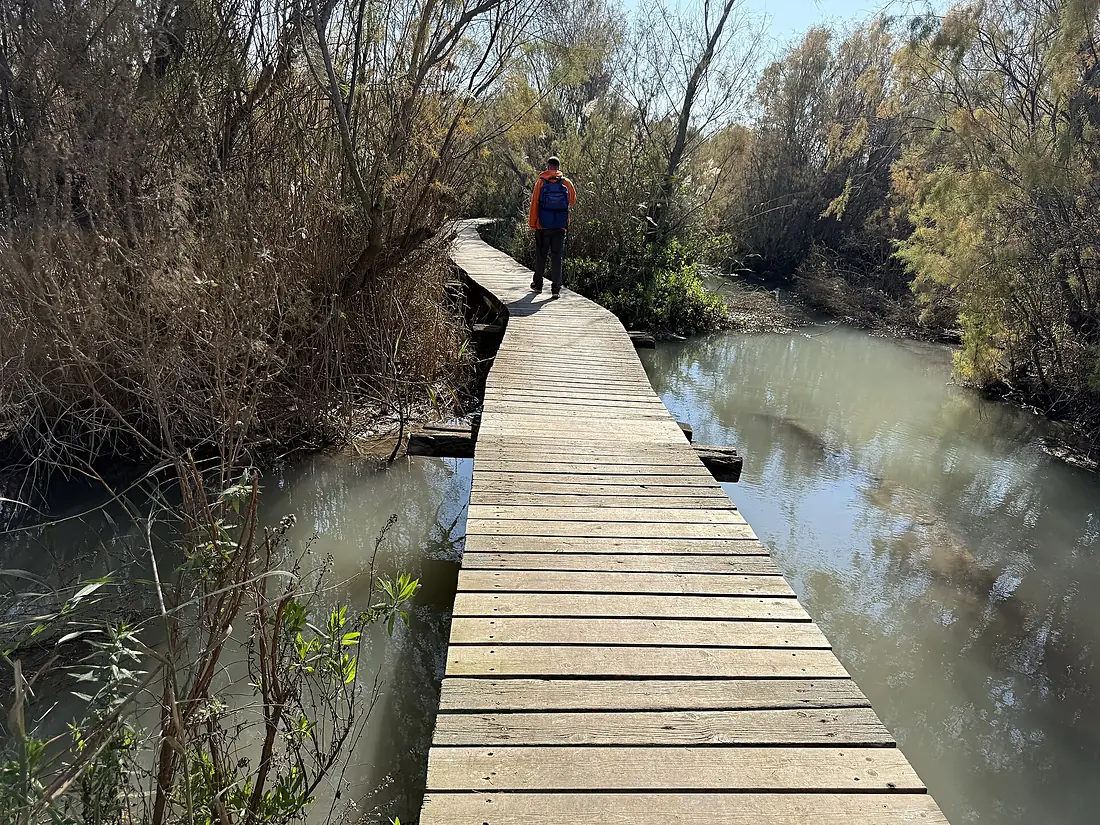 124390 ein afek reserve - swamp trail PikiWiki Israel