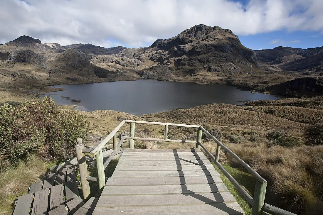 Ama la Vida - Flickr - AR PN ANDES CUENCA RESERVAS CAJAS LAGUNA TOREADORA 166 (14584742770) (2)