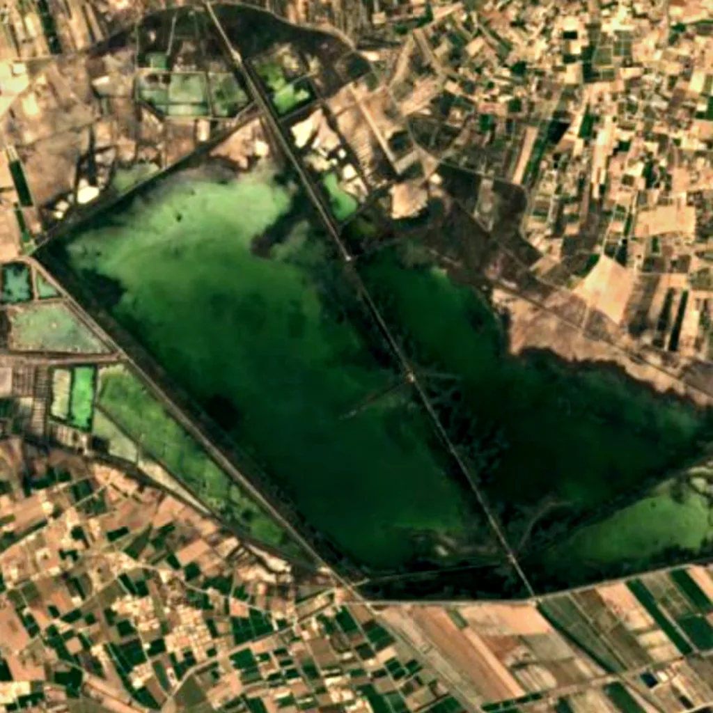 El Fondo Natural Park seen from above (Sentinel-2)