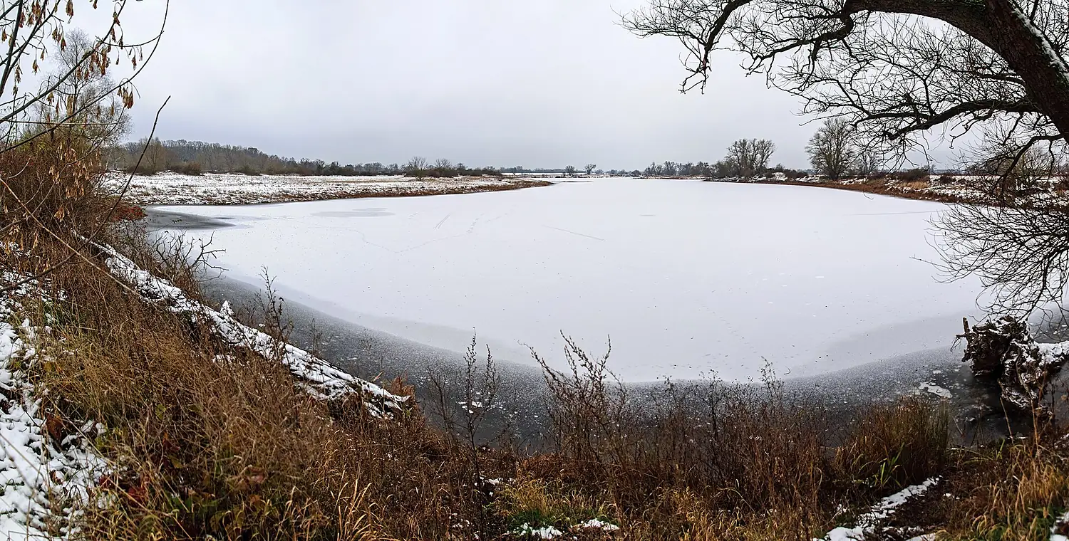 Elbaue Derben im Winter 01