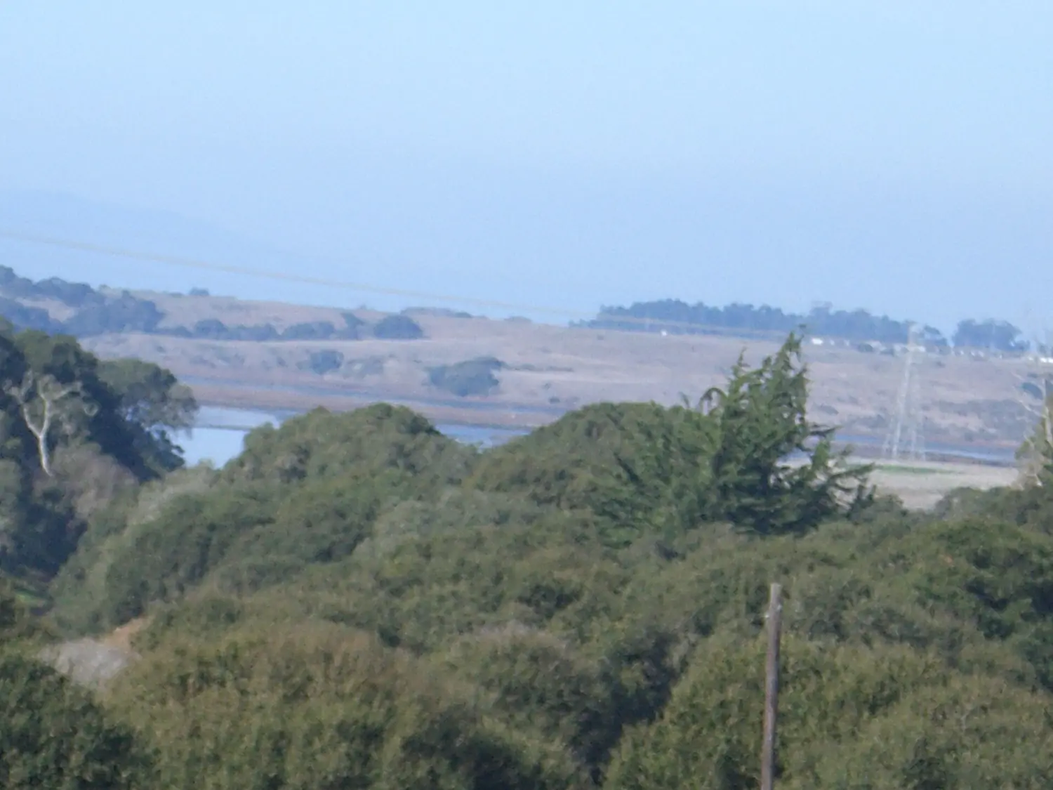 Elkhorn Slough