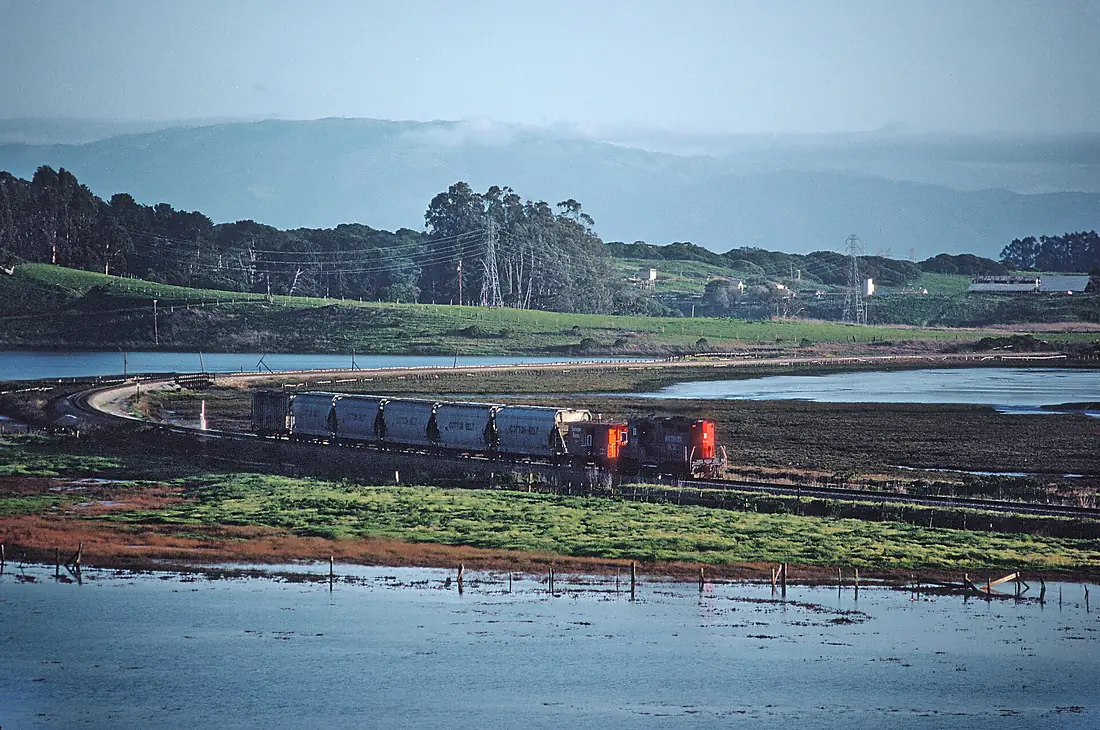SP at Elkhorn Slough (a tidal slough off Monterey Bay) -- 4 Photos (32326253603)