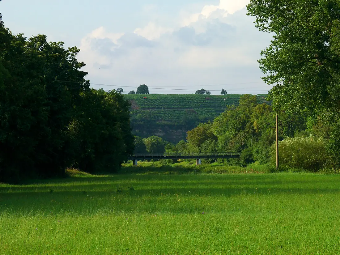 Bridge - panoramio (34)