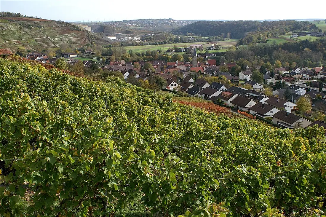 Blick durch die Weinberge auf Rosswag - panoramio