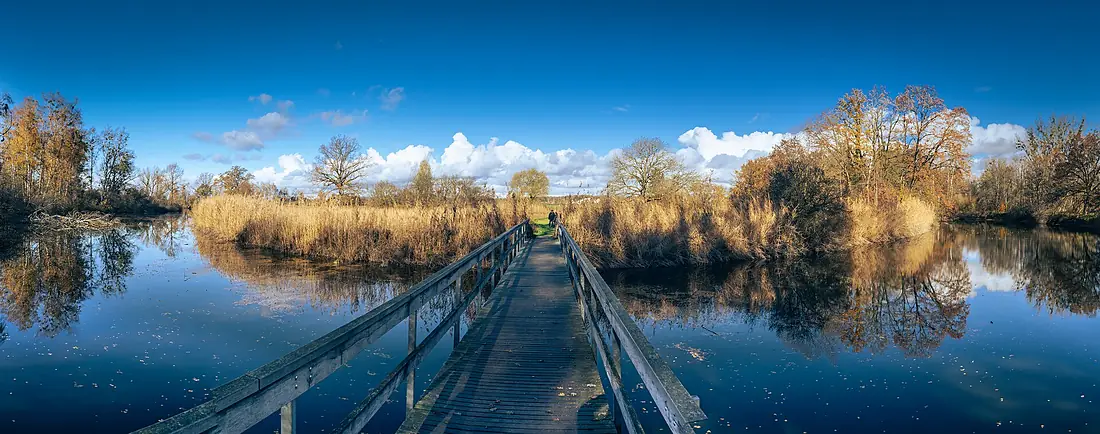 Eriskircher Ried Bridge