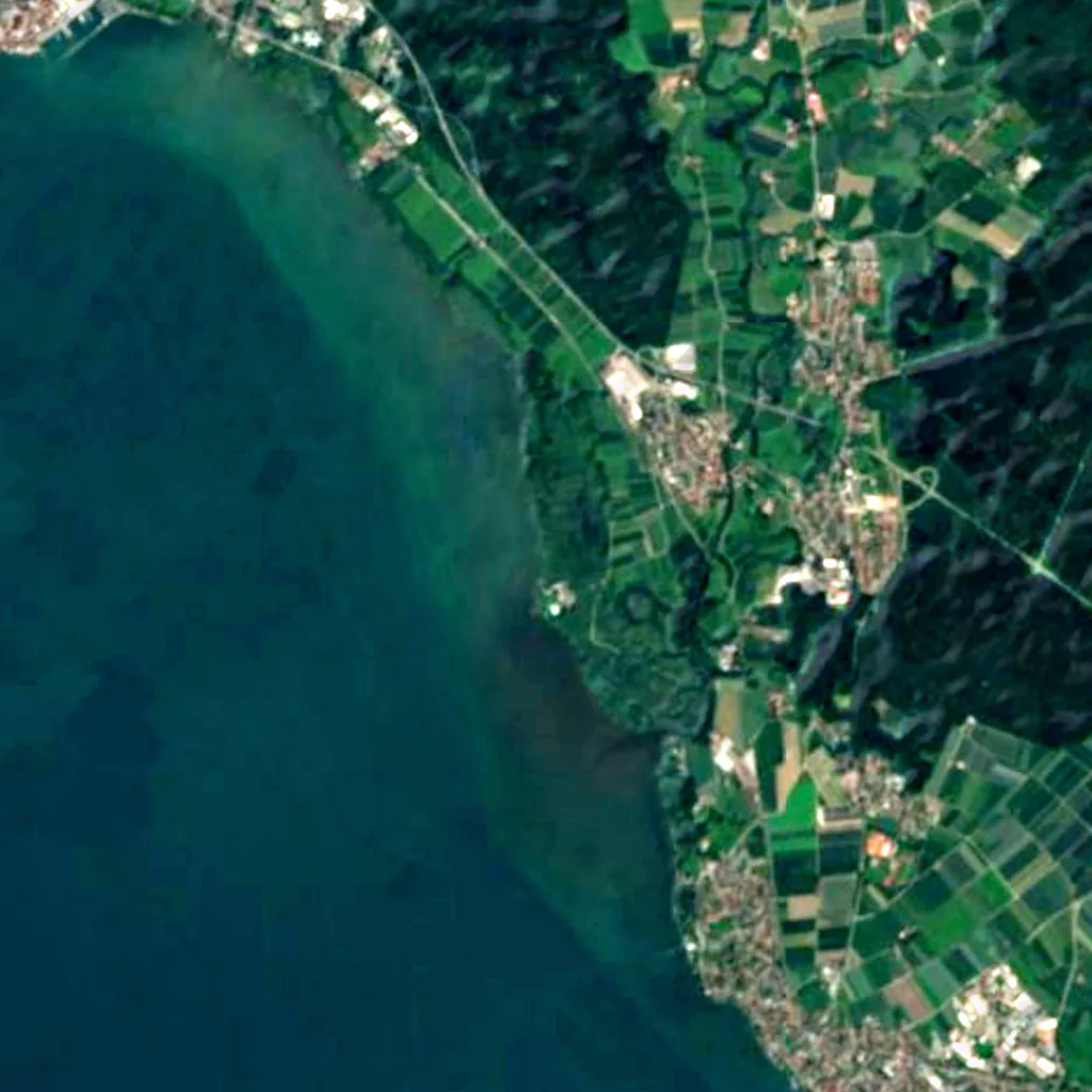 Eriskircher Ried seen from above (Sentinel-2)