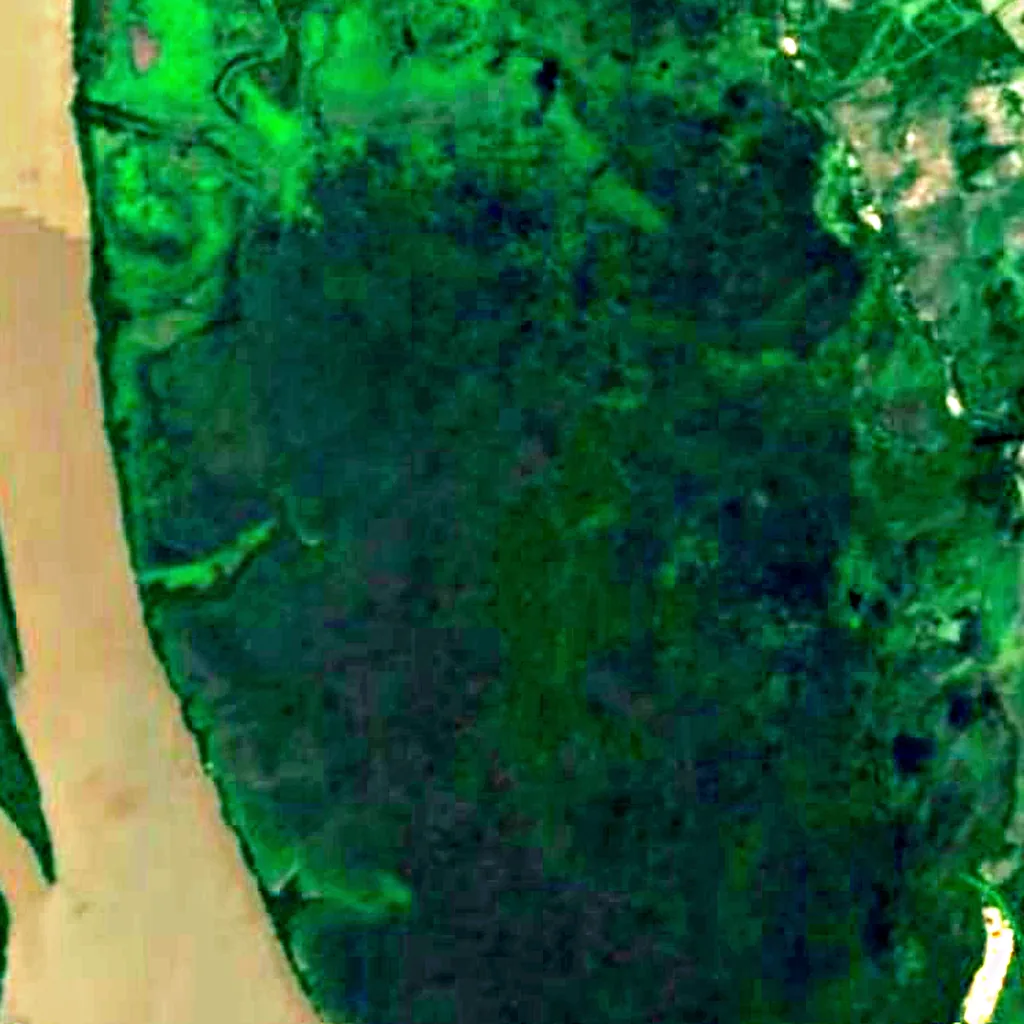 Esteros de Farrapos e Islas del Río Uruguay National Park seen from above (Sentinel-2)