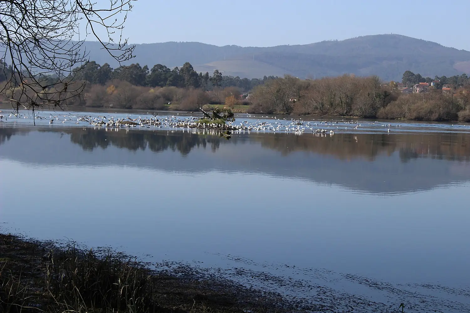 Rio Minho 5184x3456