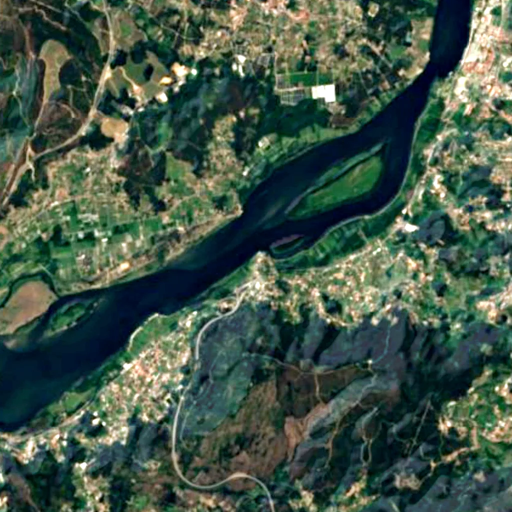 Estuary of Minho and Coura Rivers Special Protection Area seen from above (Sentinel-2)