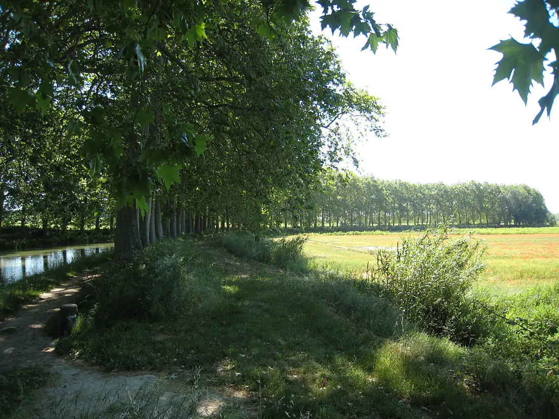 Canal du Midi between Poilhes and Capestang (département de l'Hérault, France) - panoramio