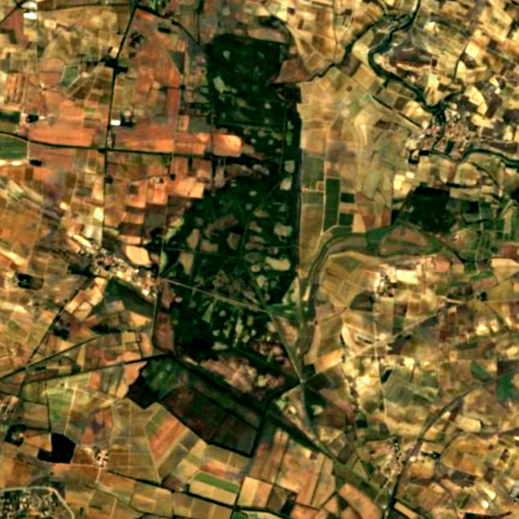 Étang de Capestang seen from above (Sentinel-2)