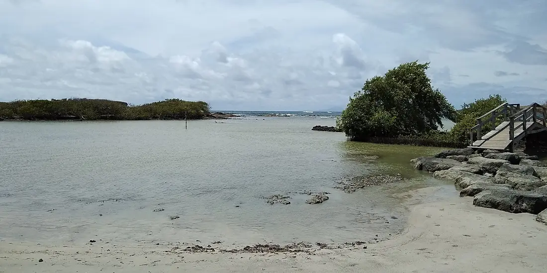Débouché de l'étang des Salines sur l'Anse à Prunes