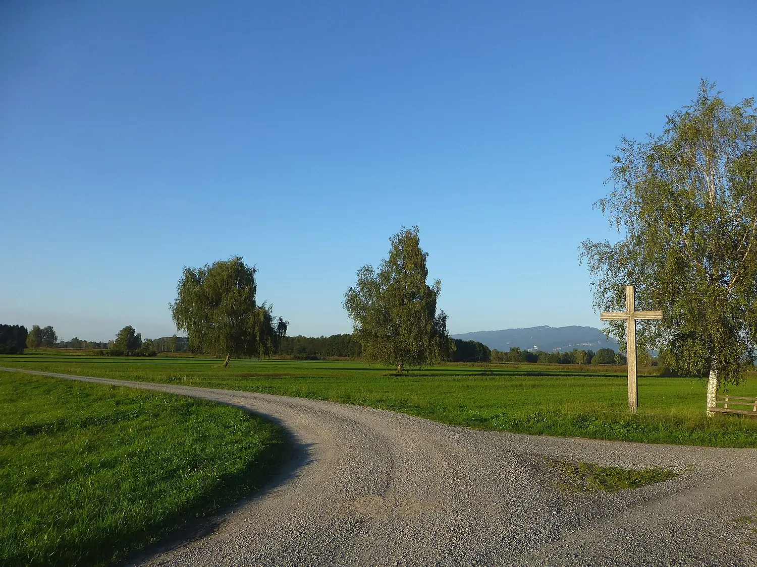 Unteres Schweizer Ried 1