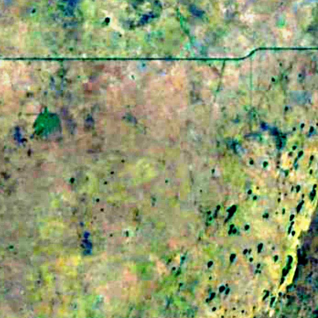 Everglades National Park van boven gezien (Sentinel-2)
