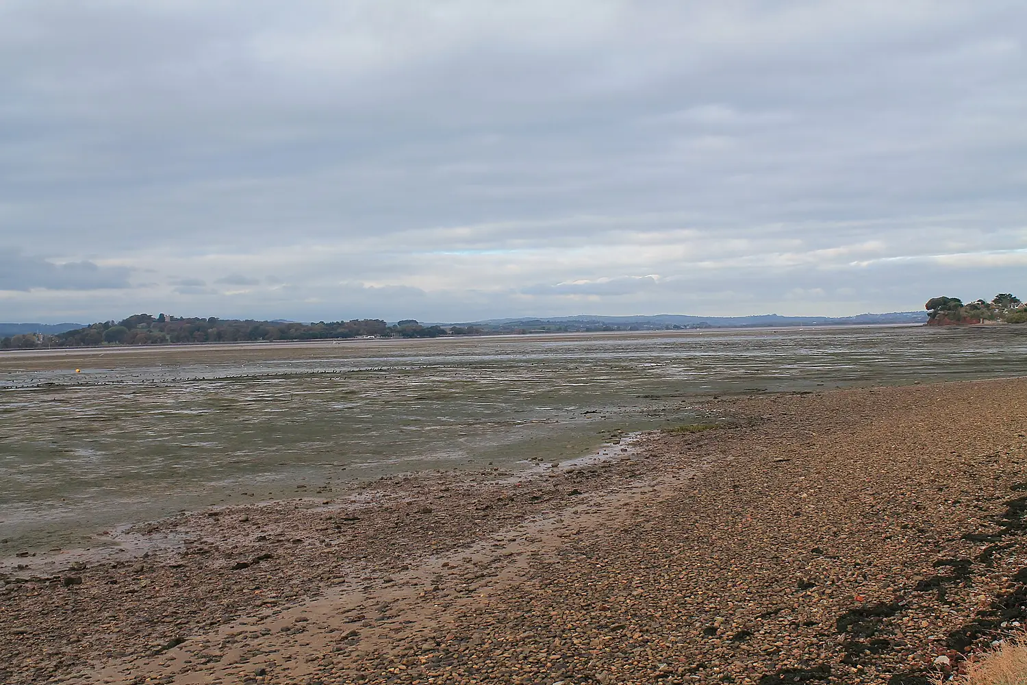 Exe Estuary