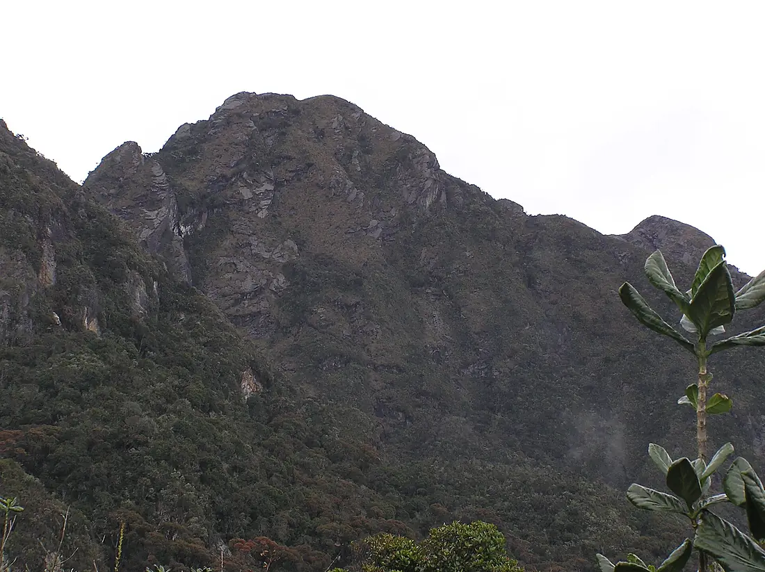 Punta Pance desde el noreste
